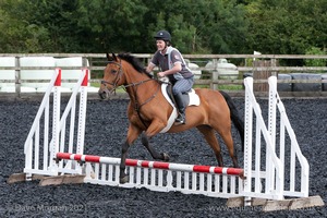 Class 1 - Fences 1'6 to 1'9